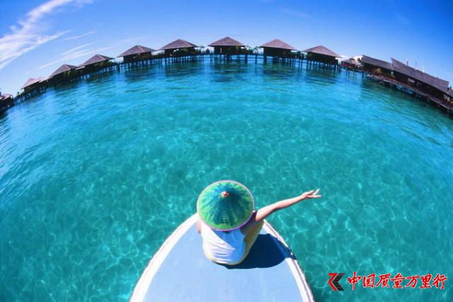 Y(do)νأW(wng)۵̓rήa(chn)ƷTD