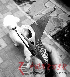 czһӣǿĵcw߀3С