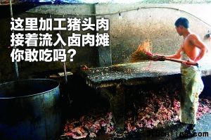 昨日,青木關石碾村,沙區警方在合元屠宰場內查獲一家無照加工豬頭肉作坊,作坊人員正用掃帚清掃工作臺。 重慶晨報記者 李斌 攝 昨日,青木關石碾村,沙區警方在合元屠宰場內查獲一家無照加工豬頭肉作坊,作坊人員正用掃帚清掃工作臺。 重慶晨報記者 李斌 攝