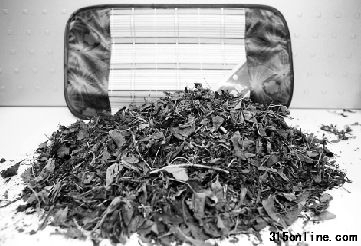 這是記者從超市買來的茶葉枕內(nèi)芯。 李翔 攝 這是記者從超市買來的茶葉枕內(nèi)芯。 李翔 攝