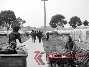 農(nóng)戶在路邊招攬市民前往大棚采草莓 農(nóng)戶在路邊招攬市民前往大棚采草莓