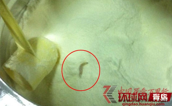 紐瑞滋奶粉中的活蟲。