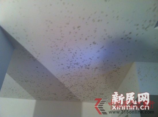 綠地薔薇四季的多套別墅出現(xiàn)滲水,天花板發(fā)霉。新民網(wǎng)記者胡彥珣 現(xiàn)場(chǎng)回傳