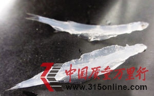 網(wǎng)友公布的“假銀魚”照片 網(wǎng)友公布的“假銀魚”照片